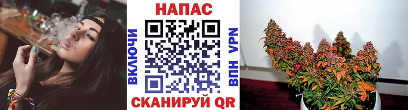 Шишки марихуана тримм mega зеркало Новопавловск